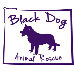 Event Home: Black Dog Animal Rescue - Giving Tuesday